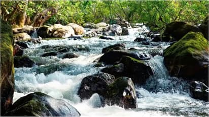 Meenvallam waterfall