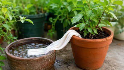 gardening