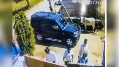 ajmer nasirabad fake income tax officers gold jewellery robbery