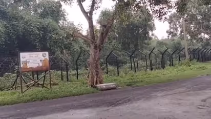 India Bangladesh Border