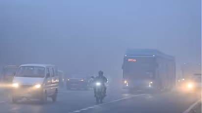 Dense fog winter season
