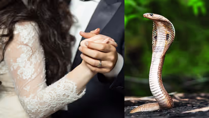 Husband wife relationship 