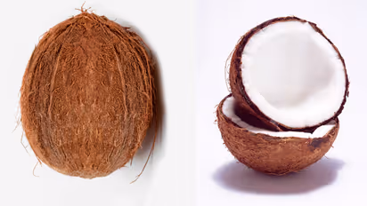 coconut