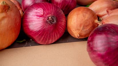 onion storage tips for rainy season