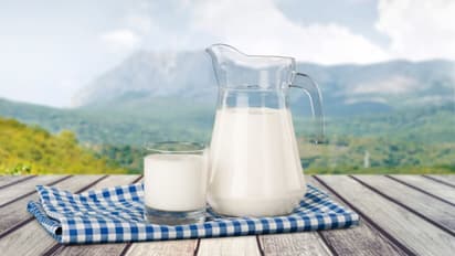 World Milk Day 2025: Who should avoid drinking milk