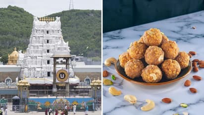 Tirumala Tirupati Laddu 