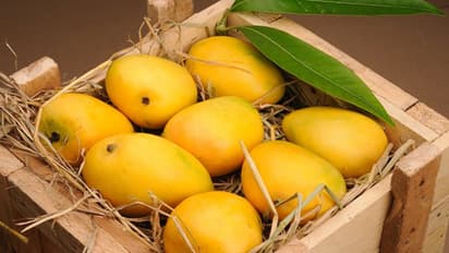 Viral Story: Mumbai Woman Says She Missed Mangoes—Boss Sends Them, Internet Melts