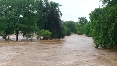 Madhya Pradesh Flood