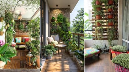 Beginners Guide to Home Gardening in Small Balconies and Limited Spaces