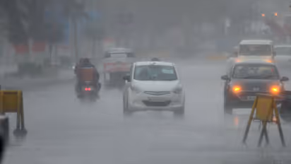 heavy rain in  Madhya pradesh