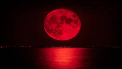 blood moon 