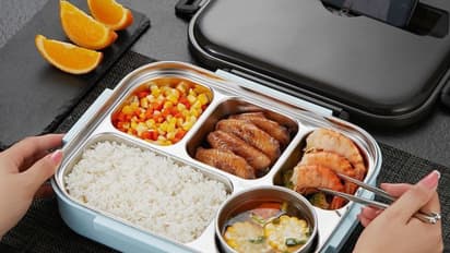 Lunch box under 500 online