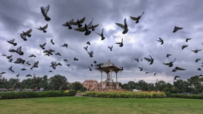 Rajasthan Monsoon Alert