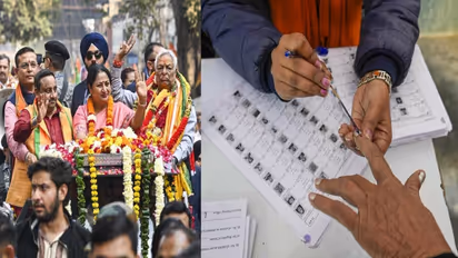 mcd delhi byelection 2025 bjp aap congress 12 wards voting