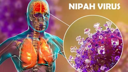 Nipah Virus in India