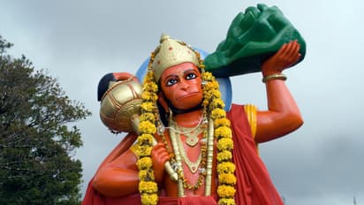 Career Success Hanuman Puja