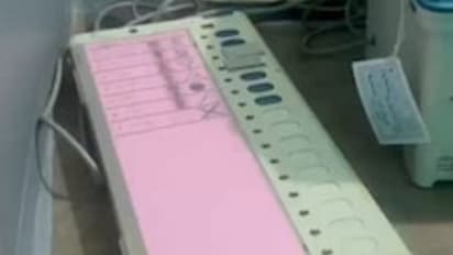 Election Election