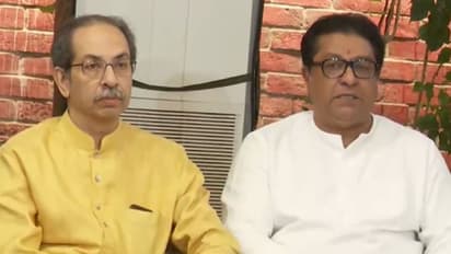 Raj - Uddhav Thackeray