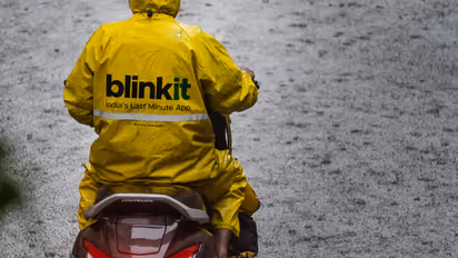 blinkit delivery earning