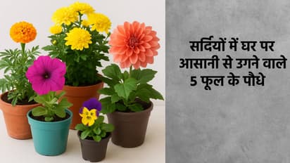 Winter Gardening Tips