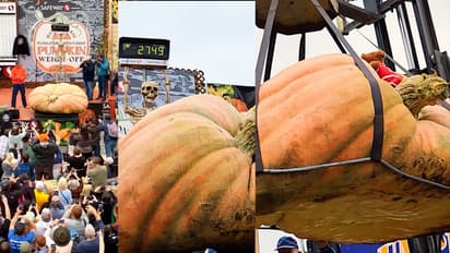 See the world s heaviest pumpkin named Michael Jordan in the viral video bsm