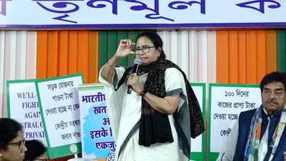 mamata banerjee
