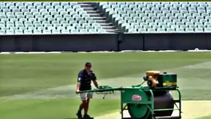 Adelaide Oval pitch