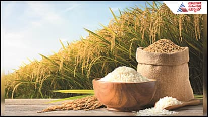 First genome edited rice 