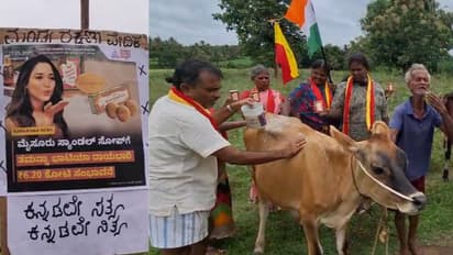 Tamannaah Bhatia Mysore Sandal Soap