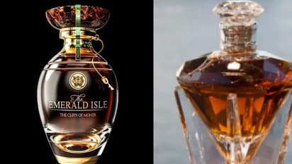 The world's most dangerous female army is the Jaegertroopers.