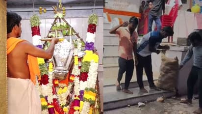 IPL 2025 final match today Special puja by fans across Karnataka for RCB's victory