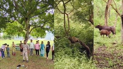 Chamarajanagara news