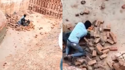 A man fight with leopard viral news