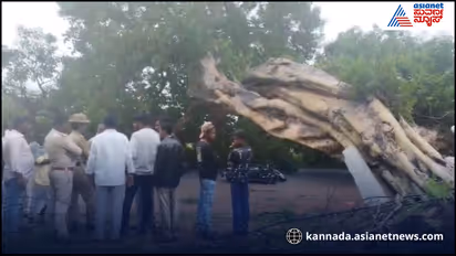 Naglapur village incident