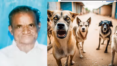 Bengaluru stray dogs attack
