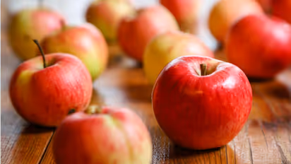 Apple eating in Night