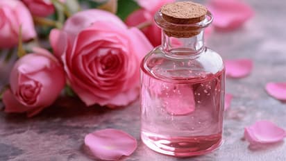 how to apply rose water on face
