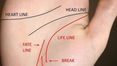 heart line palmistry