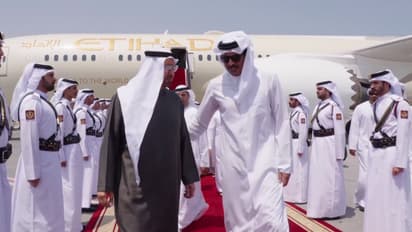 uae president 