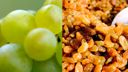 How to Dry Grapes for Raisins at Home