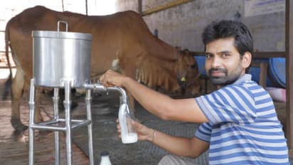 dairy business village