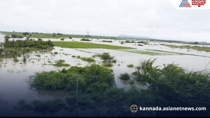 Bhima river water crisis Karnataka: Bhima river water crisis Karnataka: