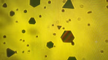 Gold flakes shift colors, revealing hidden nanoscale forces