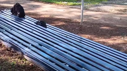 Gallery collapses, students injured