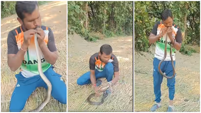 CPR for electrocuted snake