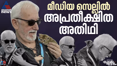 Enzo kitten at IFFK Media cell