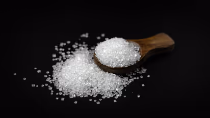 Sugar and Ants