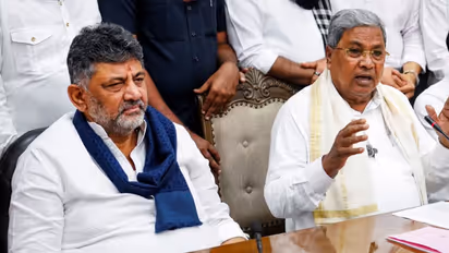 Karnataka Politics DK Shivakumar Karnataka Politics DK Shivakumar