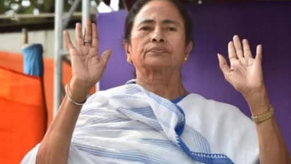 mamata banerjee-trinamool congress bank accounts worth rs 440 crore frozen amid internal dispute
