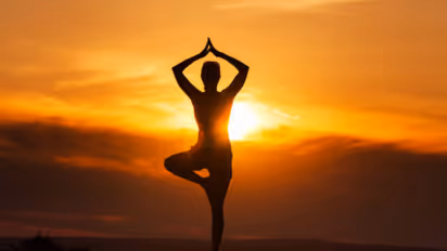 International yoga day 2026 International yoga day 2026